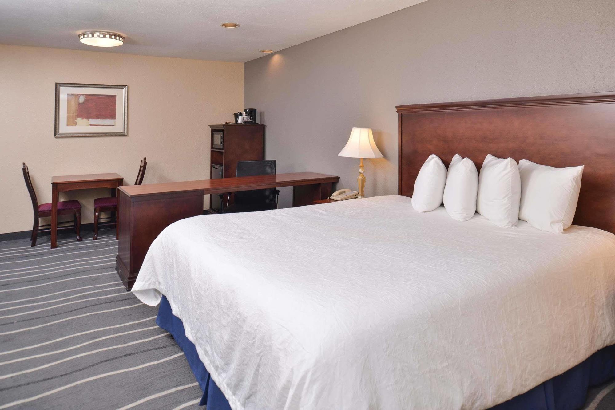 Irving Inn & Suites At Dfw Airport Ngoại thất bức ảnh